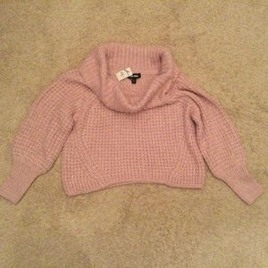 Express Chunky Cowl Neck Crop Sweater
